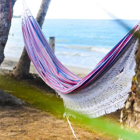 Maison Marouka Sur La Plage Du Diamant 勒迪亚芒 外观 照片